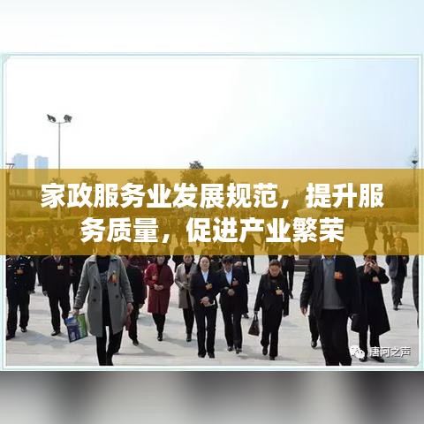 家政服務(wù)業(yè)發(fā)展規(guī)范,提升服務(wù)質(zhì)量,促進(jìn)產(chǎn)業(yè)繁榮