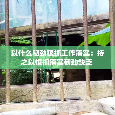 以什么韌勁狠抓工作落實(shí):持之以恒抓落實(shí)韌勁缺乏