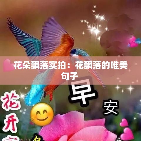 花朵飄落實(shí)拍:花飄落的唯美句子