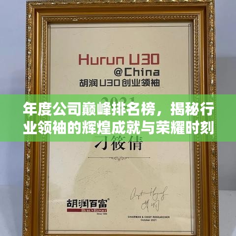 年度公司巔峰排名榜,揭秘行業(yè)領(lǐng)袖的輝煌成就與榮耀時(shí)刻
