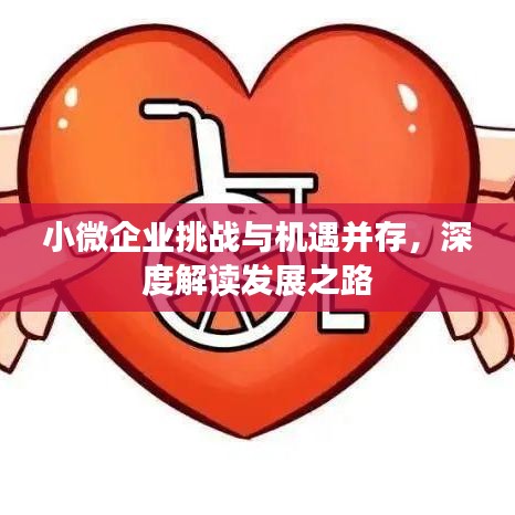 小微企業(yè)挑戰(zhàn)與機(jī)遇并存,深度解讀發(fā)展之路