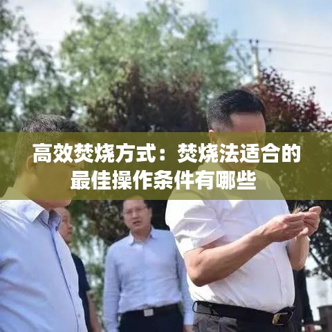 高效焚燒方式:焚燒法適合的最佳操作條件有哪些