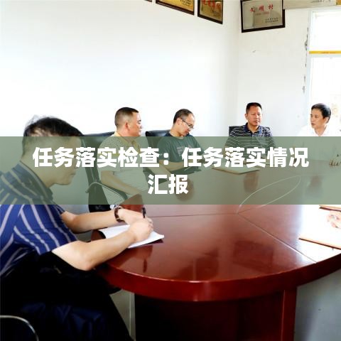 任務落實檢查:任務落實情況匯報