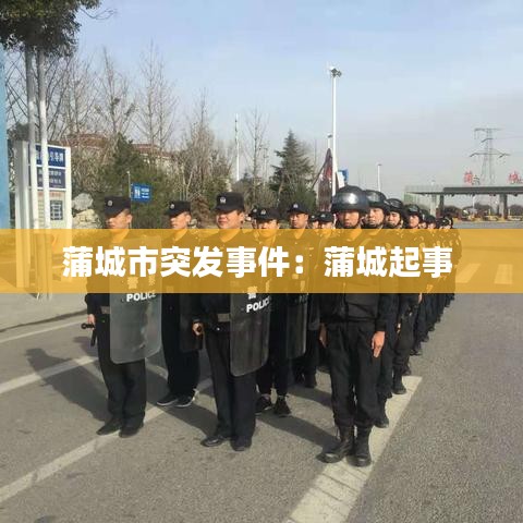 蒲城市突發事件:蒲城起事