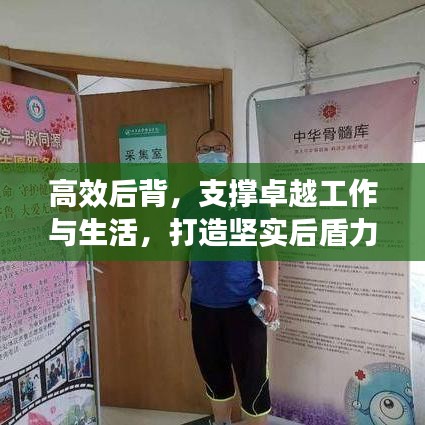 高效后背,支撐卓越工作與生活,打造堅實后盾力量