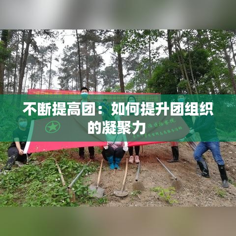 不斷提高團:如何提升團組織的凝聚力