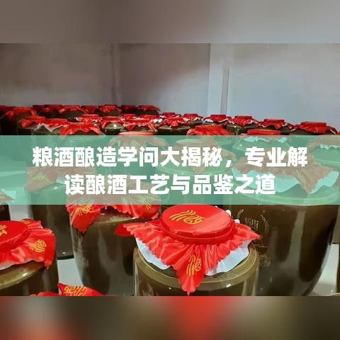 糧酒釀造學問大揭秘,專業解讀釀酒工藝與品鑒之道
