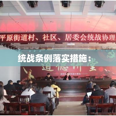 統(tǒng)戰(zhàn)條例落實(shí)措施: