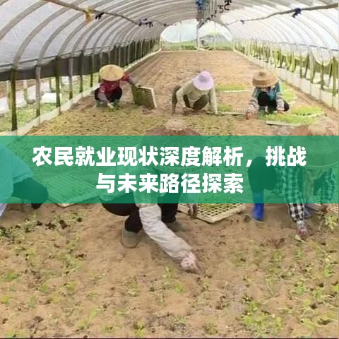 農民就業現狀深度解析,挑戰與未來路徑探索