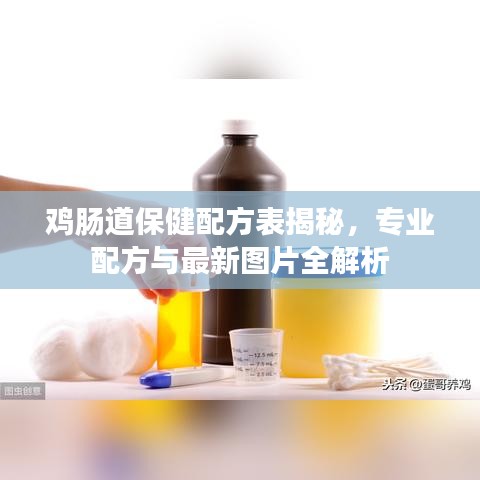 雞腸道保健配方表揭秘,專業(yè)配方與最新圖片全解析