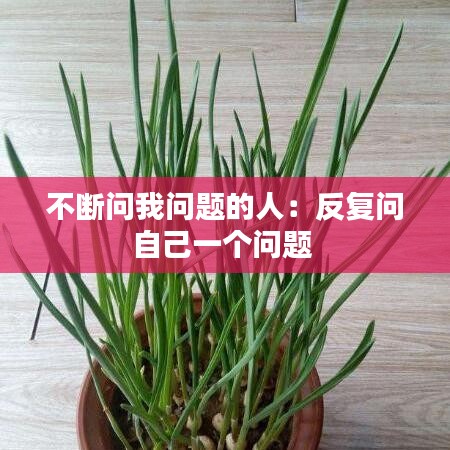 不斷問我問題的人：反復問自己一個問題 