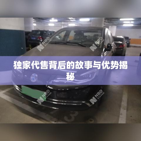 獨家代售背后的故事與優(yōu)勢揭秘