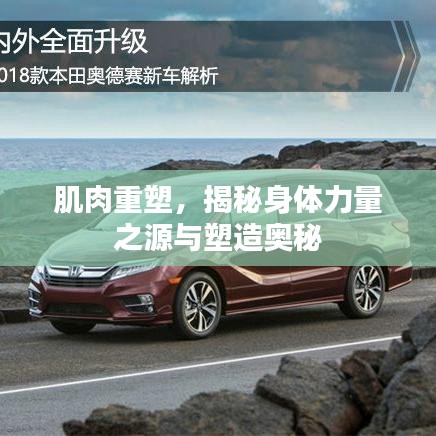 肌肉重塑,揭秘身體力量之源與塑造奧秘