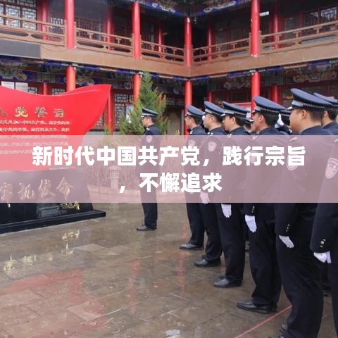 新時代中國共產黨,踐行宗旨,不懈追求