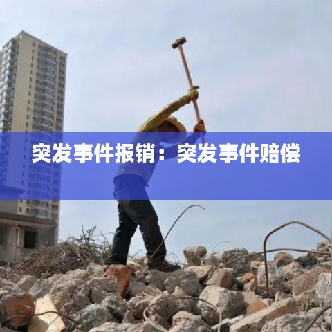 突發(fā)事件報銷:突發(fā)事件賠償