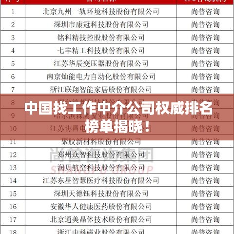 中國找工作中介公司權(quán)威排名榜單揭曉！