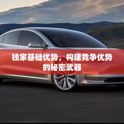 獨家基礎(chǔ)優(yōu)勢,構(gòu)建競爭優(yōu)勢的秘密武器