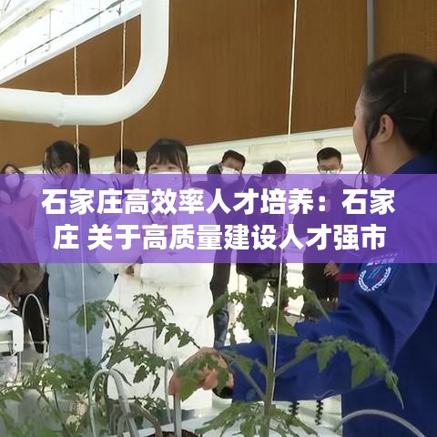 石家莊高效率人才培養:石家莊 關于高質量建設人才強市的實施意見