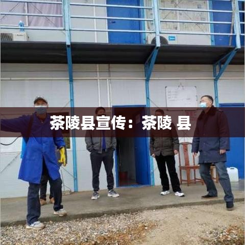 茶陵縣宣傳：茶陵 縣 