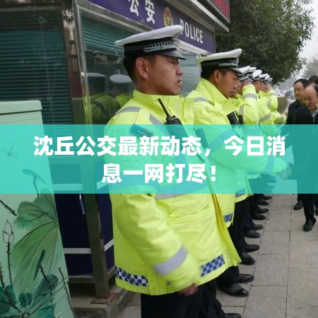 沈丘公交最新動態(tài),今日消息一網(wǎng)打盡!
