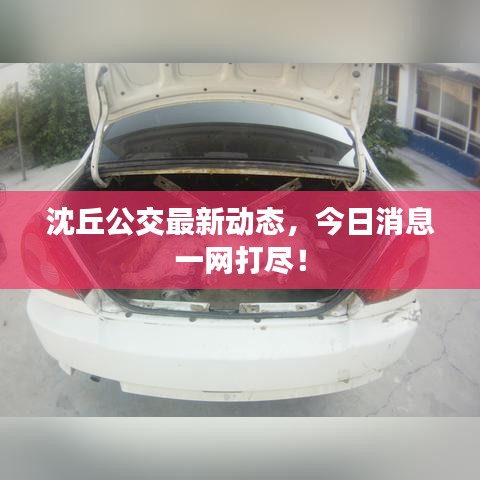 沈丘公交最新動(dòng)態(tài),今日消息一網(wǎng)打盡!