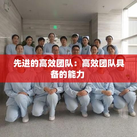 先進的高效團隊:高效團隊具備的能力