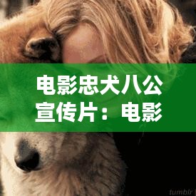 電影忠犬八公宣傳片:電影忠犬八公國語在線觀看完整