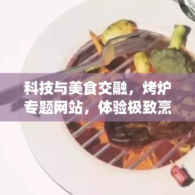 科技與美食交融,烤爐專題網站,體驗極致烹飪藝術