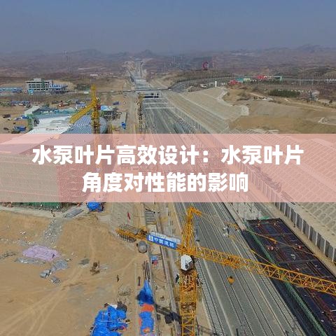 水泵葉片高效設計：水泵葉片角度對性能的影響 