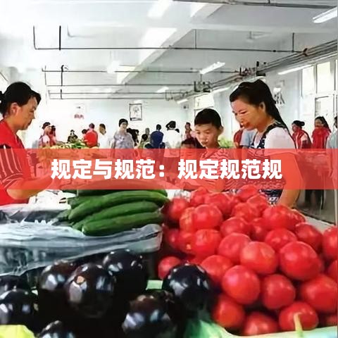 規定與規范:規定規范規