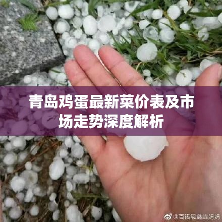 青島雞蛋最新菜價(jià)表及市場(chǎng)走勢(shì)深度解析