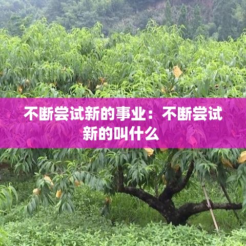 不斷嘗試新的事業:不斷嘗試新的叫什么