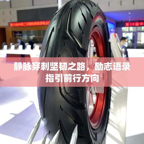 靜脈穿刺堅韌之路，勵志語錄指引前行方向