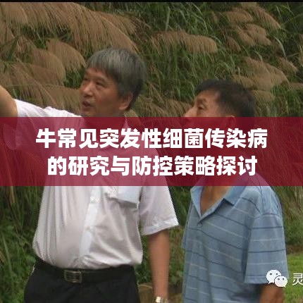 林下風氣 第3頁