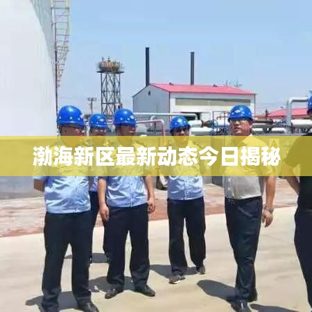 渤海新區最新動態今日揭秘