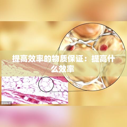 提高效率的物質保證:提高什么效率