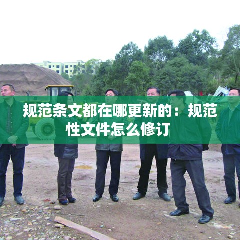 規范條文都在哪更新的:規范性文件怎么修訂