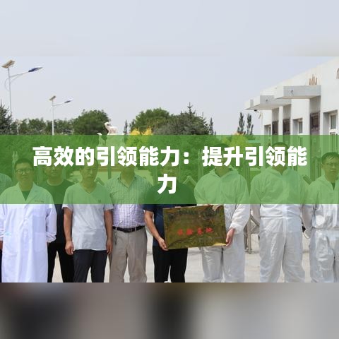 高效的引領能力：提升引領能力 