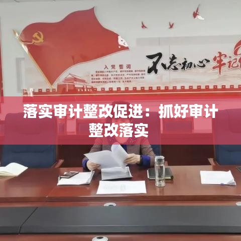 落實審計整改促進:抓好審計整改落實