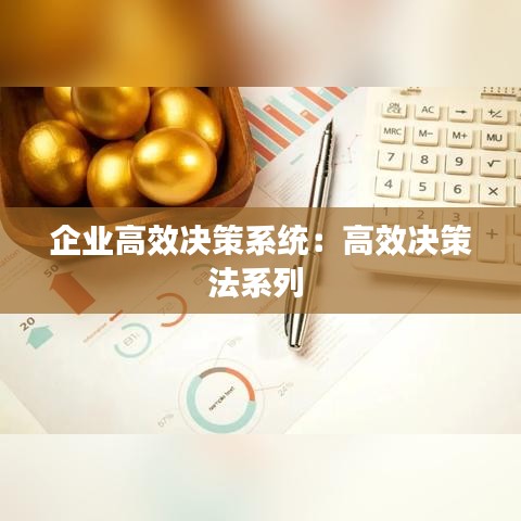 企業(yè)高效決策系統(tǒng):高效決策法系列