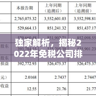 獨家解析,揭秘2022年免稅公司排名榜單