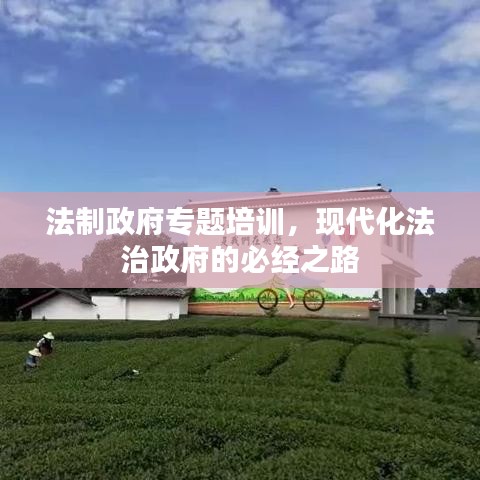 法制政府專題培訓,現代化法治政府的必經之路