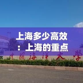 上海多少高效:上海的重點高校