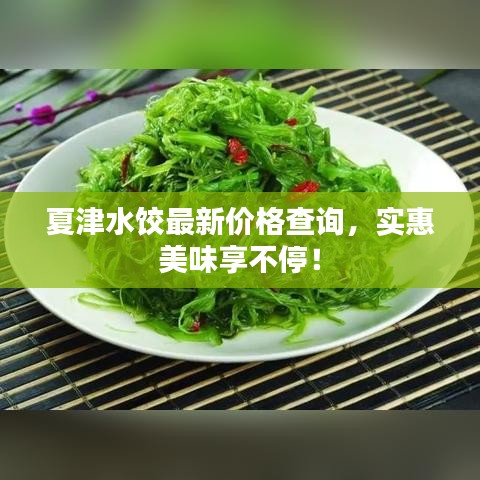 夏津水餃最新價格查詢,實惠美味享不停!