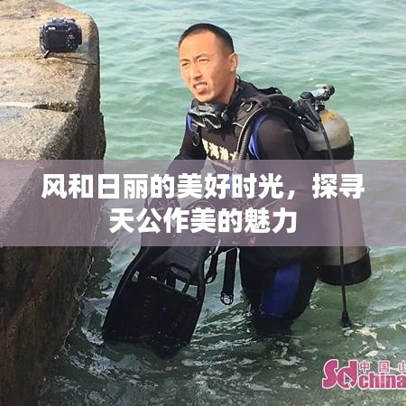 風和日麗的美好時光，探尋天公作美的魅力