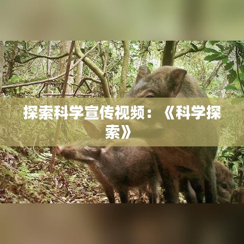 探索科學宣傳視頻:《科學探索》