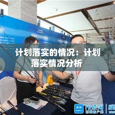 計劃落實的情況:計劃落實情況分析