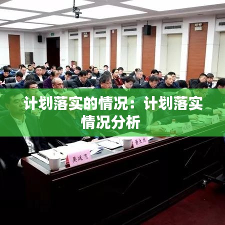 計劃落實的情況:計劃落實情況分析