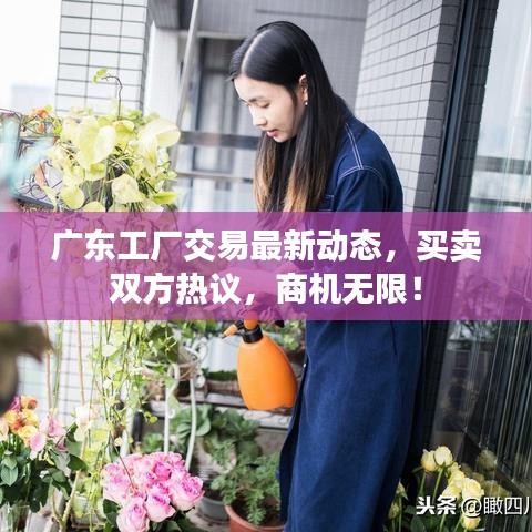 廣東工廠交易最新動態,買賣雙方熱議,商機無限!