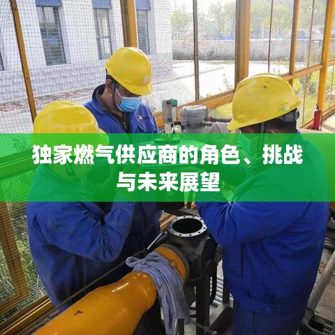 獨(dú)家燃?xì)夤?yīng)商的角色、挑戰(zhàn)與未來(lái)展望